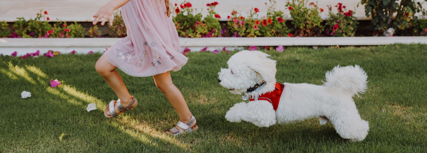 DogWatch of Southeastern Ontario, Battersea, Ontario | Outdoor Hidden Dog Fences Slider Image